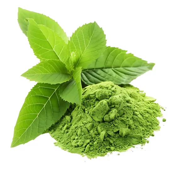 Gymnema Sylvestre in Gluco Recover